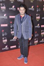 at Screen Awards red carpet in Mumbai on 12th Jan 2013 (86).JPG