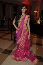 Nishka Lulla at Beti Fashion show in Mumbai on 14th Jan 2013 (77).JPG