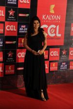at CCL red carpet in Mumbai on 19th Jan 2013 (113).JPG