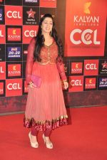 at CCL red carpet in Mumbai on 19th Jan 2013 (34).JPG