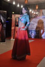 at Neerusha fashion show in Mumbai on 19th Jan 2013 (39).JPG