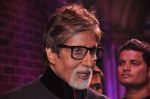Amitabh Bachchan at Stardust Awards 2013 red carpet in Mumbai on 26th jan 2013 (646).JPG