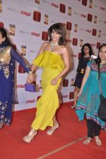 Bipasha BAsu at Stardust Awards 2013 red carpet in Mumbai on 26th jan 2013 (291).JPG