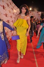 Bipasha BAsu at Stardust Awards 2013 red carpet in Mumbai on 26th jan 2013 (611).JPG
