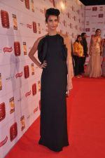 Poorna Jagannathan at Stardust Awards 2013 red carpet in Mumbai on 26th jan 2013 (596).JPG