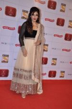 Raveena Tandon at Stardust Awards 2013 red carpet in Mumbai on 26th jan 2013 (444).JPG