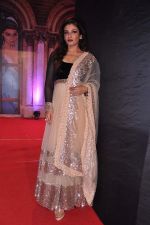 Raveena Tandon at Stardust Awards 2013 red carpet in Mumbai on 26th jan 2013 (581).JPG