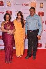 Shalmali Kholgade at Stardust Awards 2013 red carpet in Mumbai on 26th jan 2013 (430).JPG