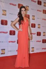Shazahn Padamsee  at Stardust Awards 2013 red carpet in Mumbai on 26th jan 2013 (407).JPG