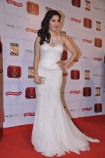 Sophie Chaudhary at Stardust Awards 2013 red carpet in Mumbai on 26th jan 2013 (386).JPG