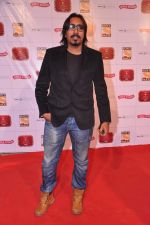 at Stardust Awards 2013 red carpet in Mumbai on 26th jan 2013 (433).JPG