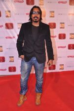 at Stardust Awards 2013 red carpet in Mumbai on 26th jan 2013 (434).JPG