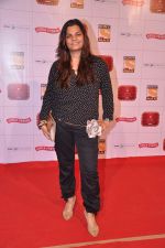 at Stardust Awards 2013 red carpet in Mumbai on 26th jan 2013 (436).JPG