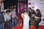 at Stardust Awards 2013 red carpet in Mumbai on 26th jan 2013 (454).JPG