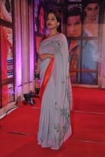 at Stardust Awards 2013 red carpet in Mumbai on 26th jan 2013 (599).JPG