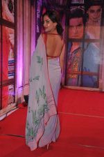 at Stardust Awards 2013 red carpet in Mumbai on 26th jan 2013 (603).JPG