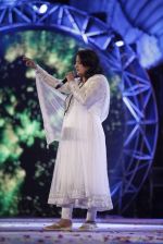 at Global Sounds Of Peace live concert in Andheri Sports Complex, Mumbai on 30th Jan 2013 (257).JPG