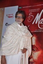 Amitabh Bachchan at Mai Premiere in Mumbai on 31st Jan 2013 (47).JPG