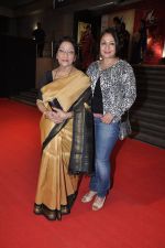 at Mai Premiere in Mumbai on 31st Jan 2013 (13).JPG