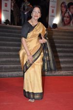 at Mai Premiere in Mumbai on 31st Jan 2013 (51).JPG
