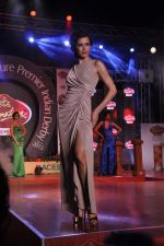 at Pria Kataria Puri fashion show for Signature derby in Mumbai on 31st Jan 2013 (90).JPG