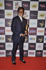 Amitabh Bachchan at Radio Mirchi music awards red carpet in Mumbai on 7th Feb 2013 (157).JPG