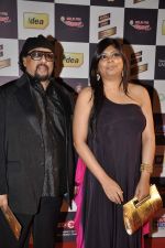 at Radio Mirchi music awards red carpet in Mumbai on 7th Feb 2013 (37).JPG