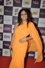 at Radio Mirchi music awards red carpet in Mumbai on 7th Feb 2013 (6).JPG
