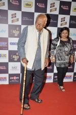 at Radio Mirchi music awards red carpet in Mumbai on 7th Feb 2013 (75).JPG