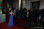 at 2012 Bafta Awards - Red Carpet on 10th Feb 2013 (24).jpg