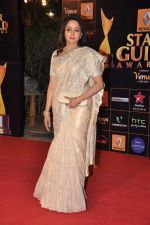 Hema Malini at Star Guild Awards red carpet in Mumbai on 16th Feb 2013 (97).JPG