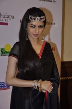 Bhagyashree at Smiles foundation Fashion Show in ITC Maratha, Parel,  Mumbai on 17th Feb 2013 (65).JPG