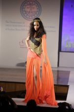 at Sophia college_s Tvashtar 2013 Show in Mumbai on 17th Feb 2013 (48).JPG