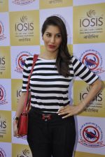 Sophie Chaudhary at Cancer Aid and Research Foundation Event in IOSIS Spa, Khar on 22nd Feb 2013 (28).JPG