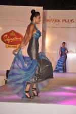 at ITM institute_s  Spark Plug Fashion show in Mumbai on 23rd Feb 2013 (10).JPG