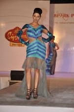at ITM institute_s  Spark Plug Fashion show in Mumbai on 23rd Feb 2013 (13).JPG