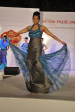 at ITM institute_s  Spark Plug Fashion show in Mumbai on 23rd Feb 2013 (22).JPG