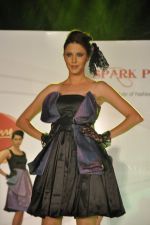 at ITM institute_s  Spark Plug Fashion show in Mumbai on 23rd Feb 2013 (41).JPG