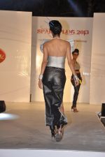 at ITM institute_s  Spark Plug Fashion show in Mumbai on 23rd Feb 2013 (66).JPG