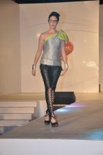 at ITM institute_s  Spark Plug Fashion show in Mumbai on 23rd Feb 2013 (69).JPG
