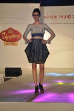 at ITM institute_s  Spark Plug Fashion show in Mumbai on 23rd Feb 2013 (76).JPG