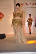 at ITM institute_s  Spark Plug Fashion show in Mumbai on 23rd Feb 2013 (94).JPG