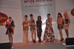 at ITM institute_s  Spark Plug Fashion show in Mumbai on 23rd Feb 2013 (99).JPG