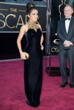 Oscar Award 2013 on 24th Feb 2013(750).jpg