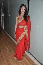 at Model Sucheta Sharma_s wedding bash with Harrison in Malad, Mumbai on 2nd March 2013 (89).JPG