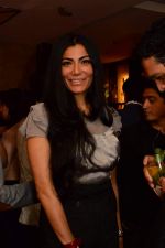 Harathi Reddy at Smoke House Cocktail Club in Capital, Mumbai on 9th March 2013.jpg