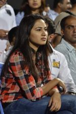 at CCL Grand finale at Bangalore on 10th March 2013 (137).JPG