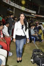 at CCL Grand finale at Bangalore on 10th March 2013 (8).JPG