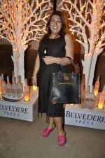 at India Design Forum hosted by Belvedere Vodka in Bandra, Mumbai on 11th March 2013 (175).JPG