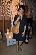 at India Design Forum hosted by Belvedere Vodka in Bandra, Mumbai on 11th March 2013 (186).JPG